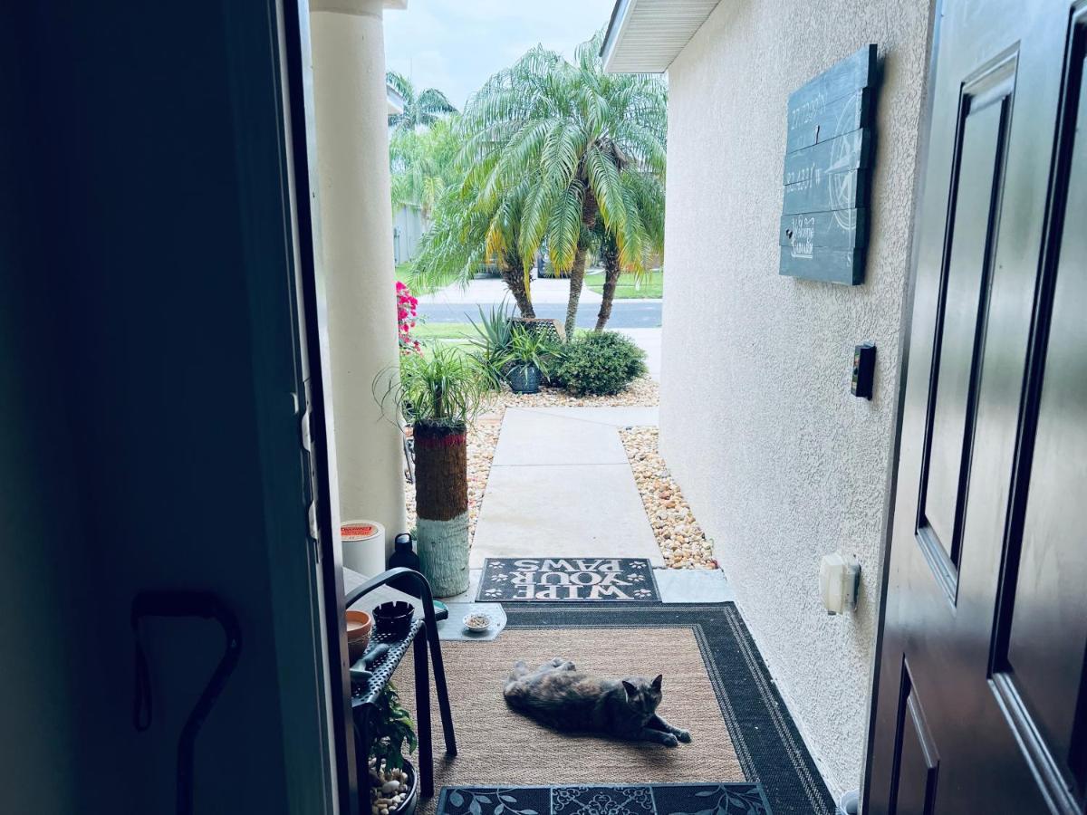 Fl Private 2 Bdrm 1 Bath Common Areas Shared With Host And Cat * Ruskin