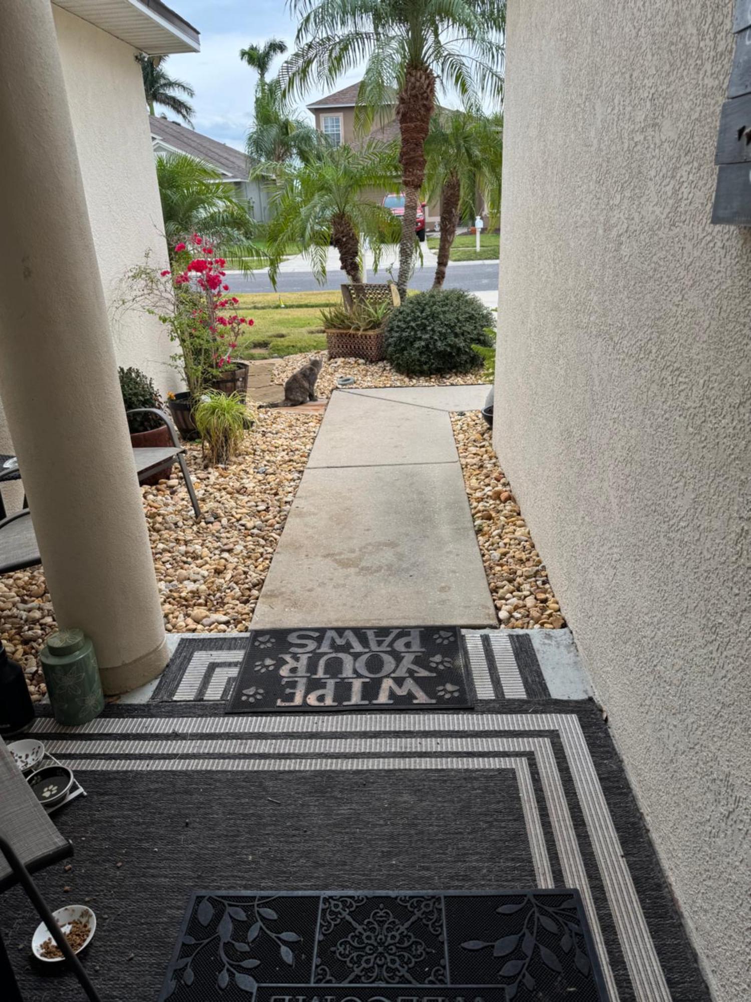 Ruskin Fl 2 Bdrm 1 Bath Suite Host And Cat Share Common Areas Alloggio in famiglia Ruskin