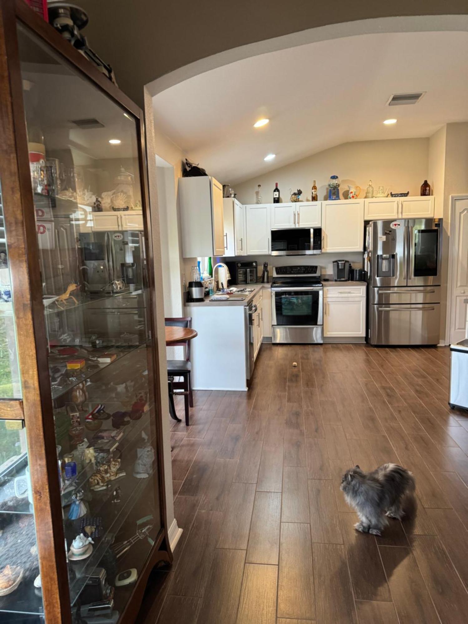 Ruskin Fl 2 Bdrm 1 Bath Suite Host And Cat Share Common Areas Alloggio in famiglia Ruskin