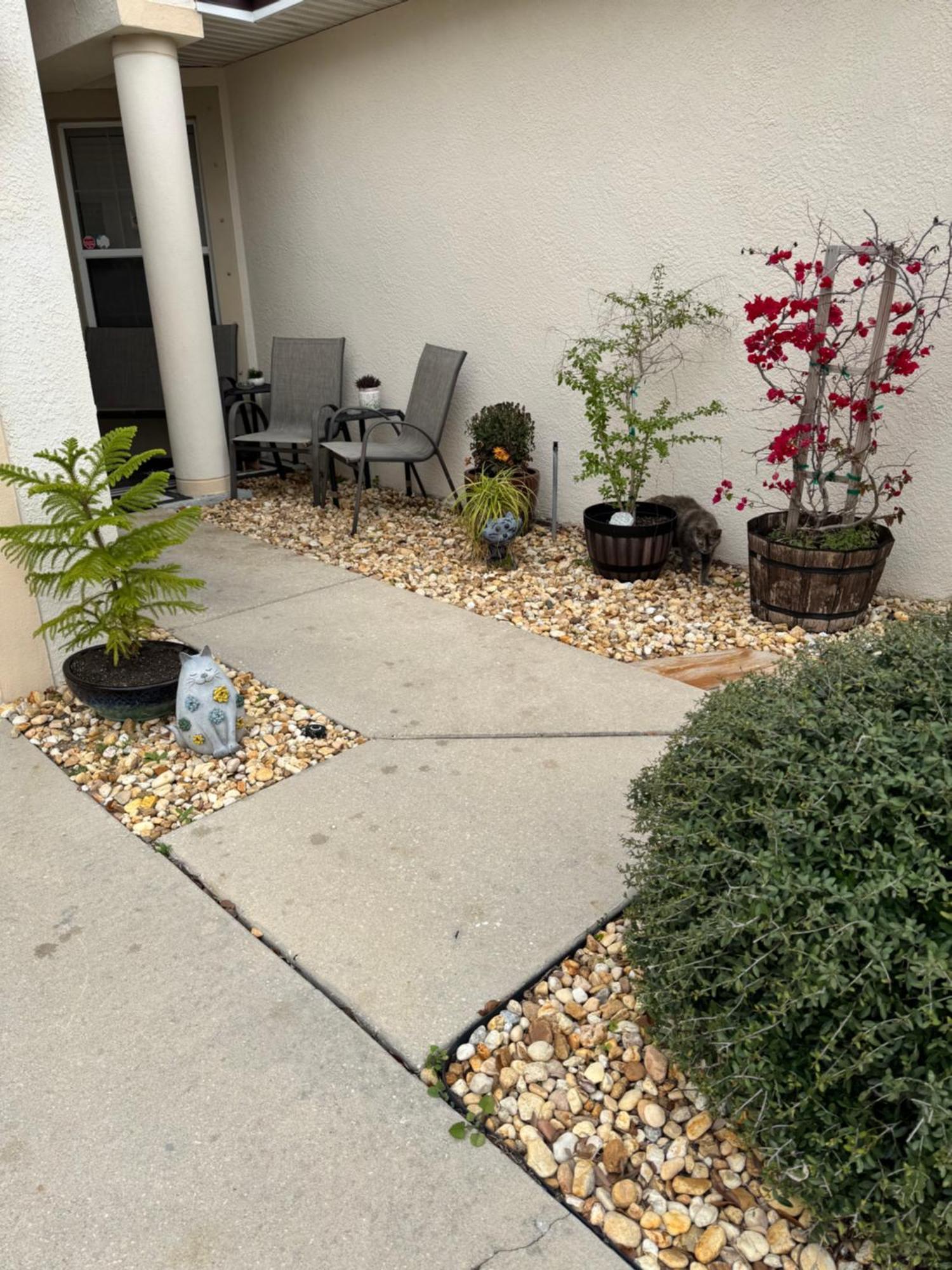Fl Private 2 Bdrm 1 Bath Common Areas Shared With Host And Cat Ruskin